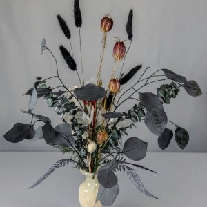 The Velvet Bloom